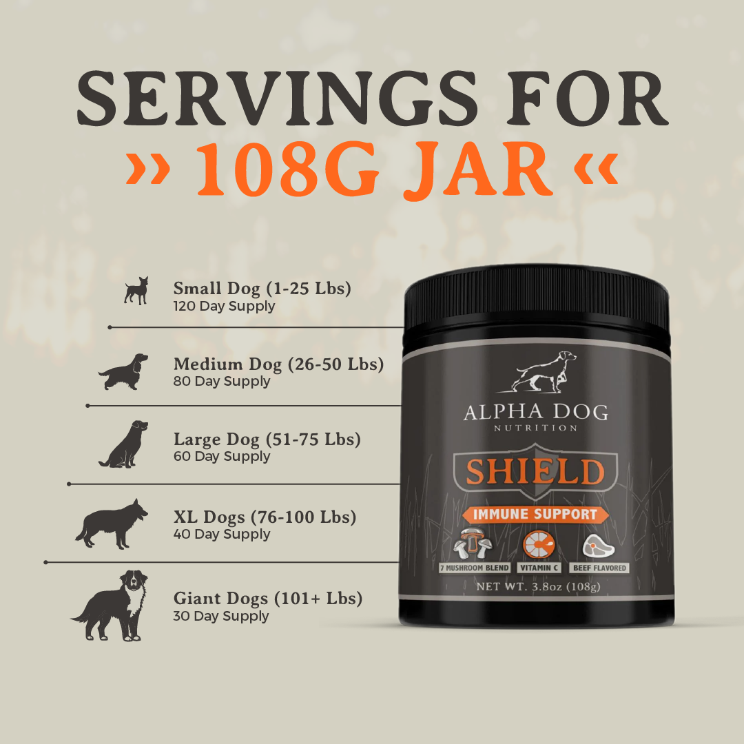 Shield Allergy Immunity Supplement for Dogs