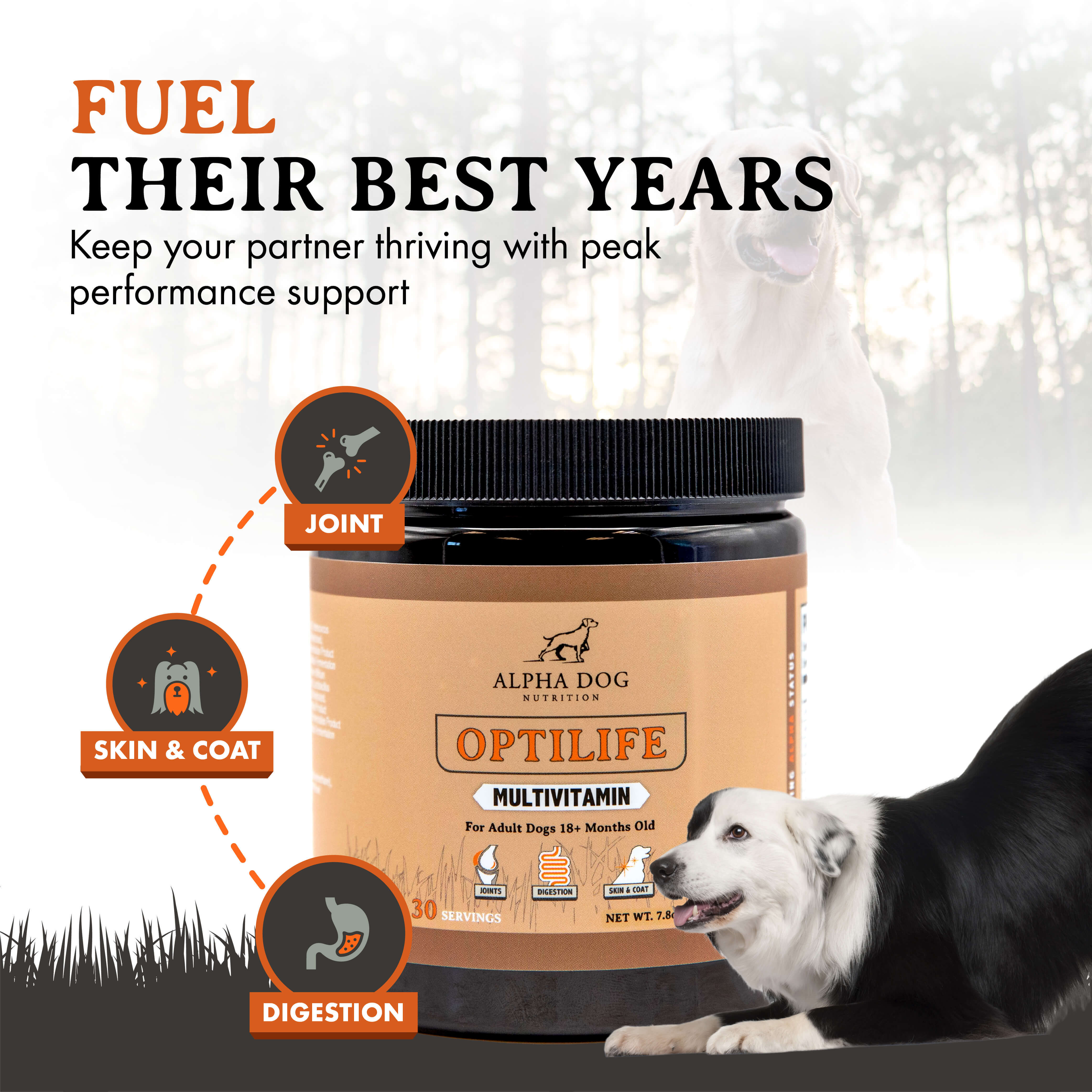 Optilife Multivitamin For Adult Dogs