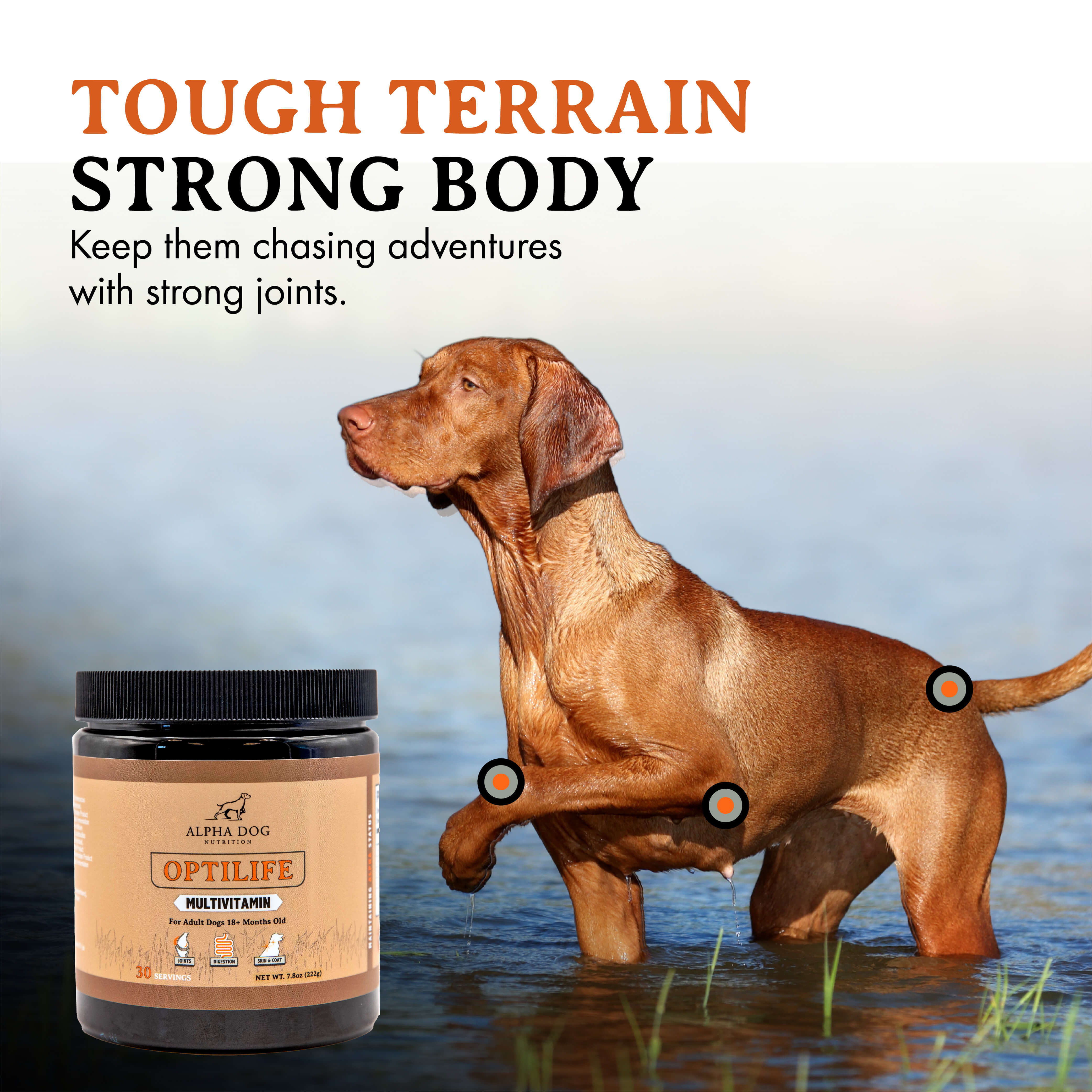 Optilife Multivitamin For Adult Dogs