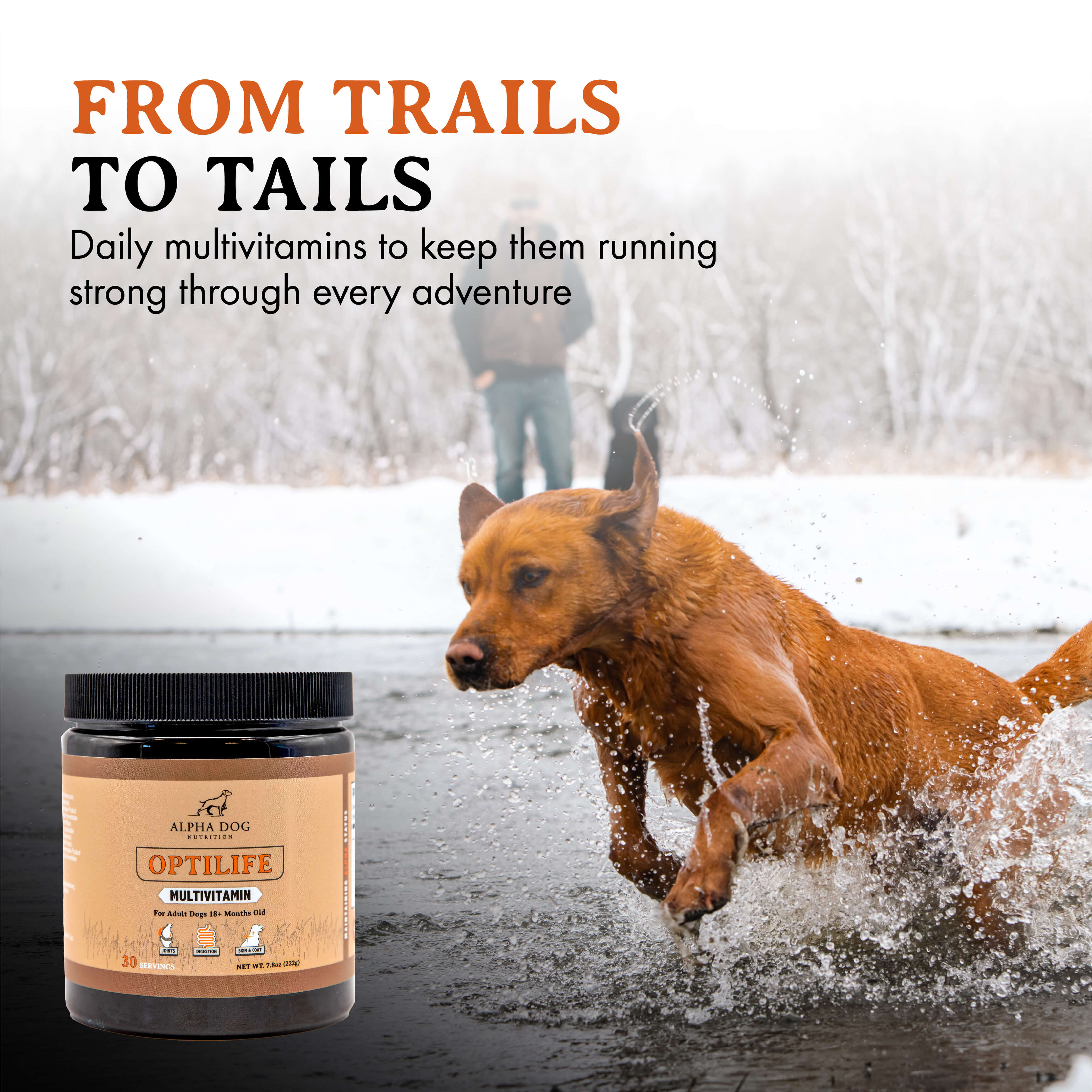 Optilife Multivitamin For Adult Dogs