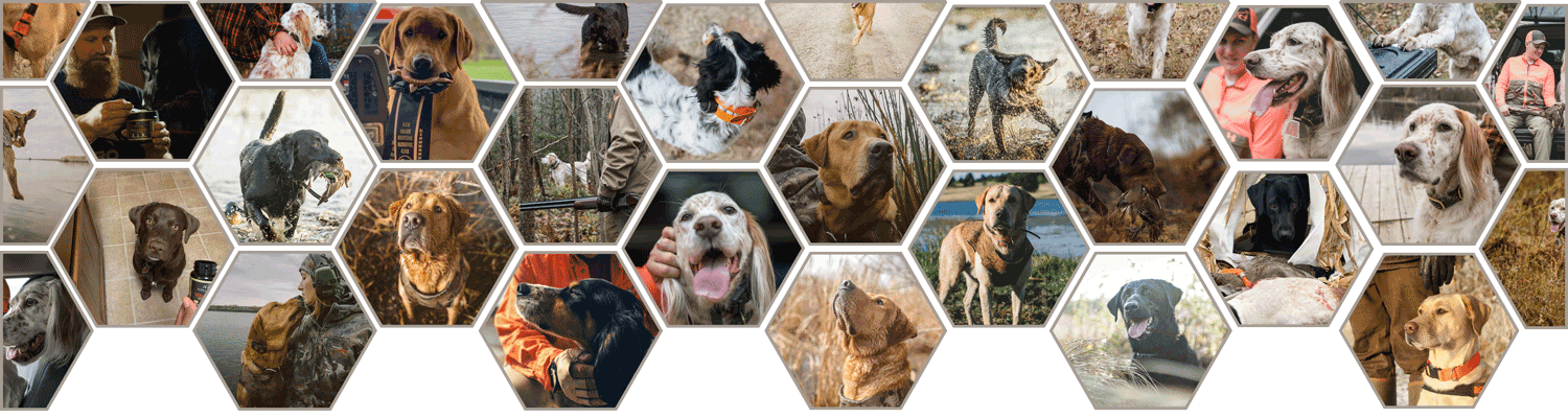 Alpha Dog Nutrition