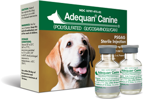 Adequan for Dogs Arthritis Injection What to Expect | Alpha Dog Nutrition