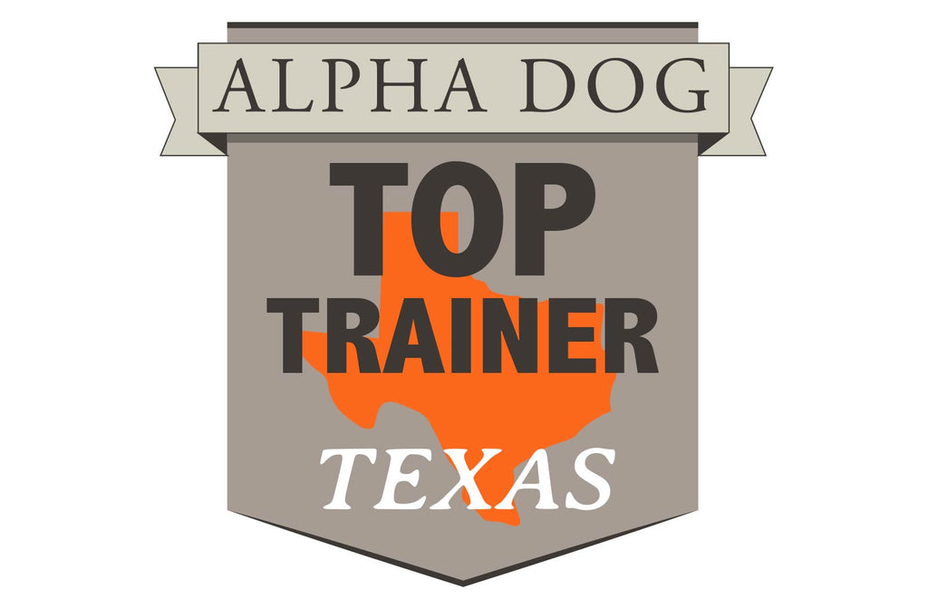 The Top Hunting Dog Trainers in Texas