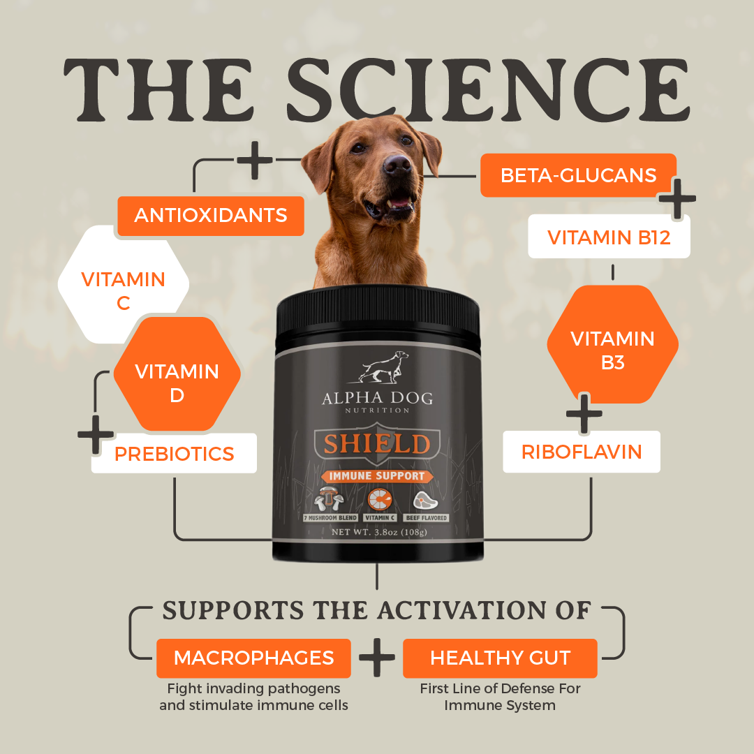 Imunity Dog Shield Allergy Immunity Supplement for Dogs – Alpha Dog Nutrition
