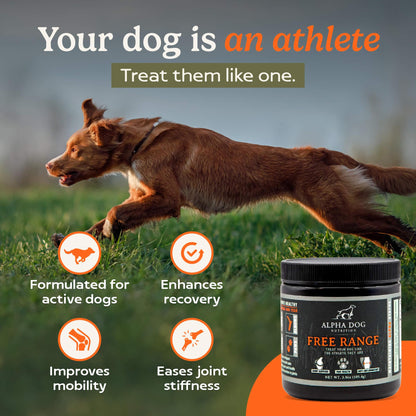 Free Range Joint Supplement For Dogs