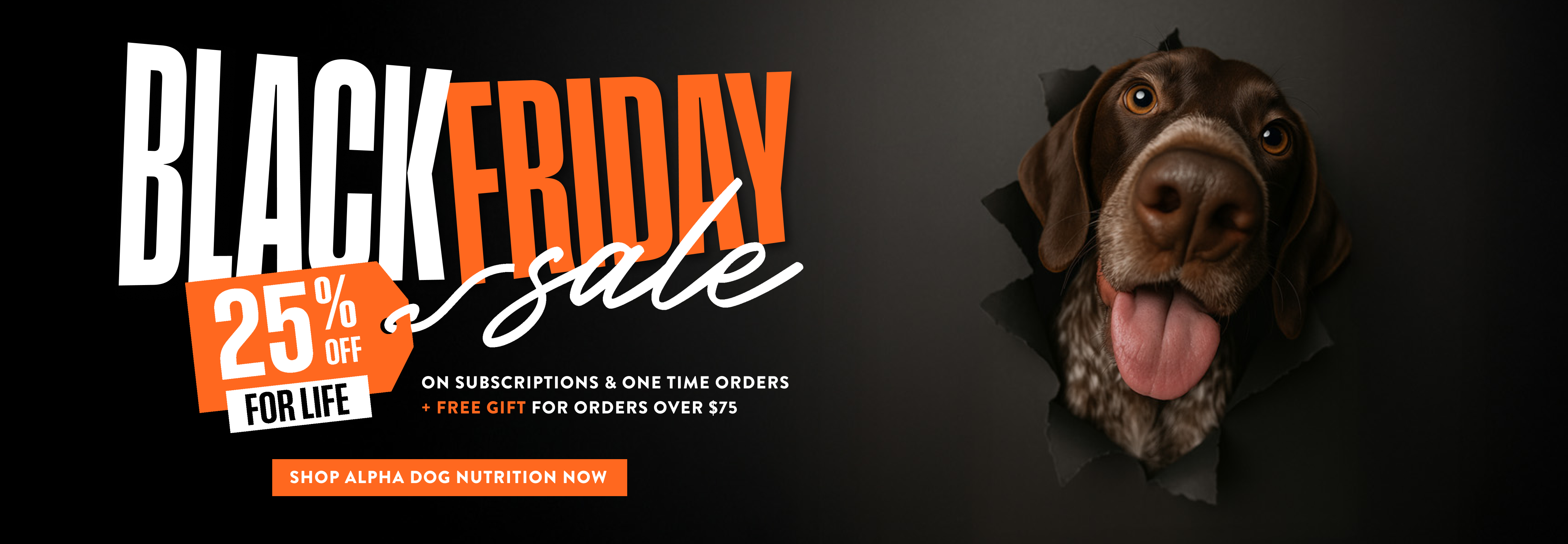 files/ADN-Black_Friday-Web_banner-Desktop_5c0cc34d-25b4-4a5a-8952-d9fc4b613f5f.png