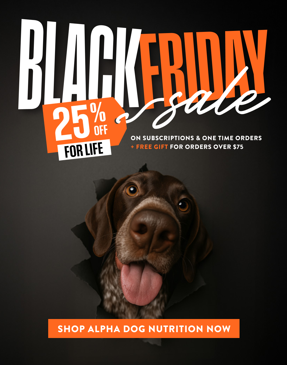 files/ADN-Black_Friday-Web_banner-Desktop_5c0cc34d-25b4-4a5a-8952-d9fc4b613f5f.png
