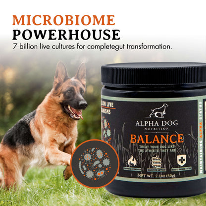 Balance Probiotic For Dogs