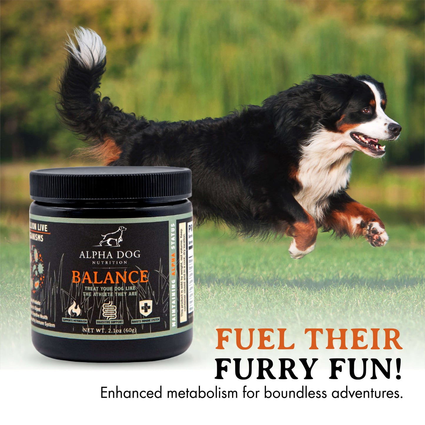 Balance Probiotic For Dogs