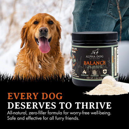 Balance Probiotic For Dogs