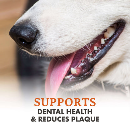 Elk Antler Dog Chews