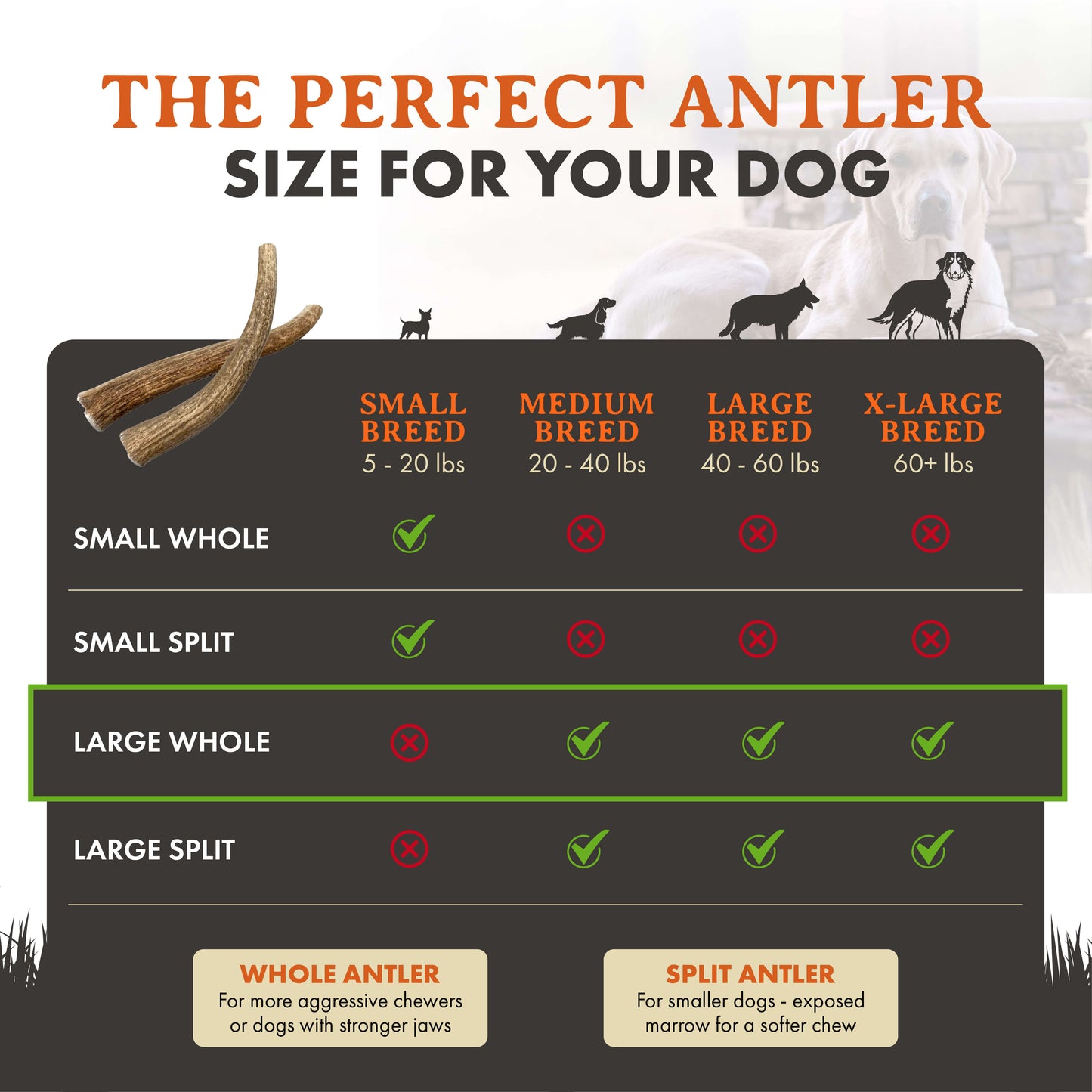 Elk Antler Dog Chews