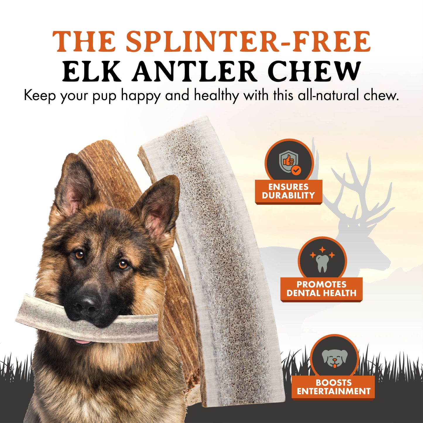 Elk Antler Dog Chews