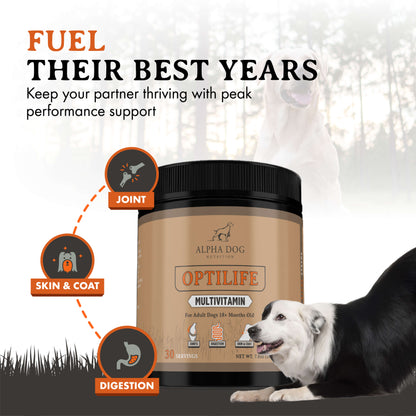 OptiLife Multivitamin for Adult Dogs - 15 Day Free Trial