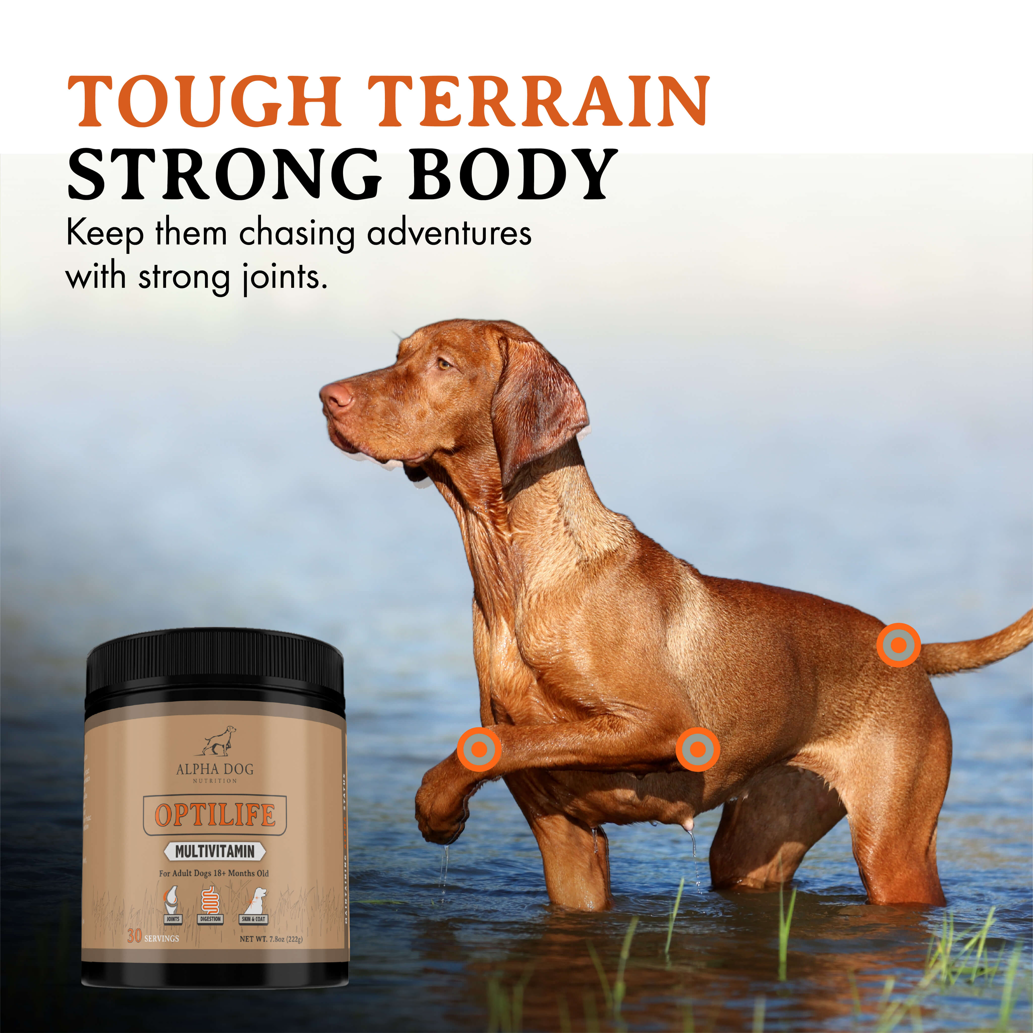 OptiLife Multivitamin for Adult Dogs - Bucket Sizes – Alpha Dog Nutrition