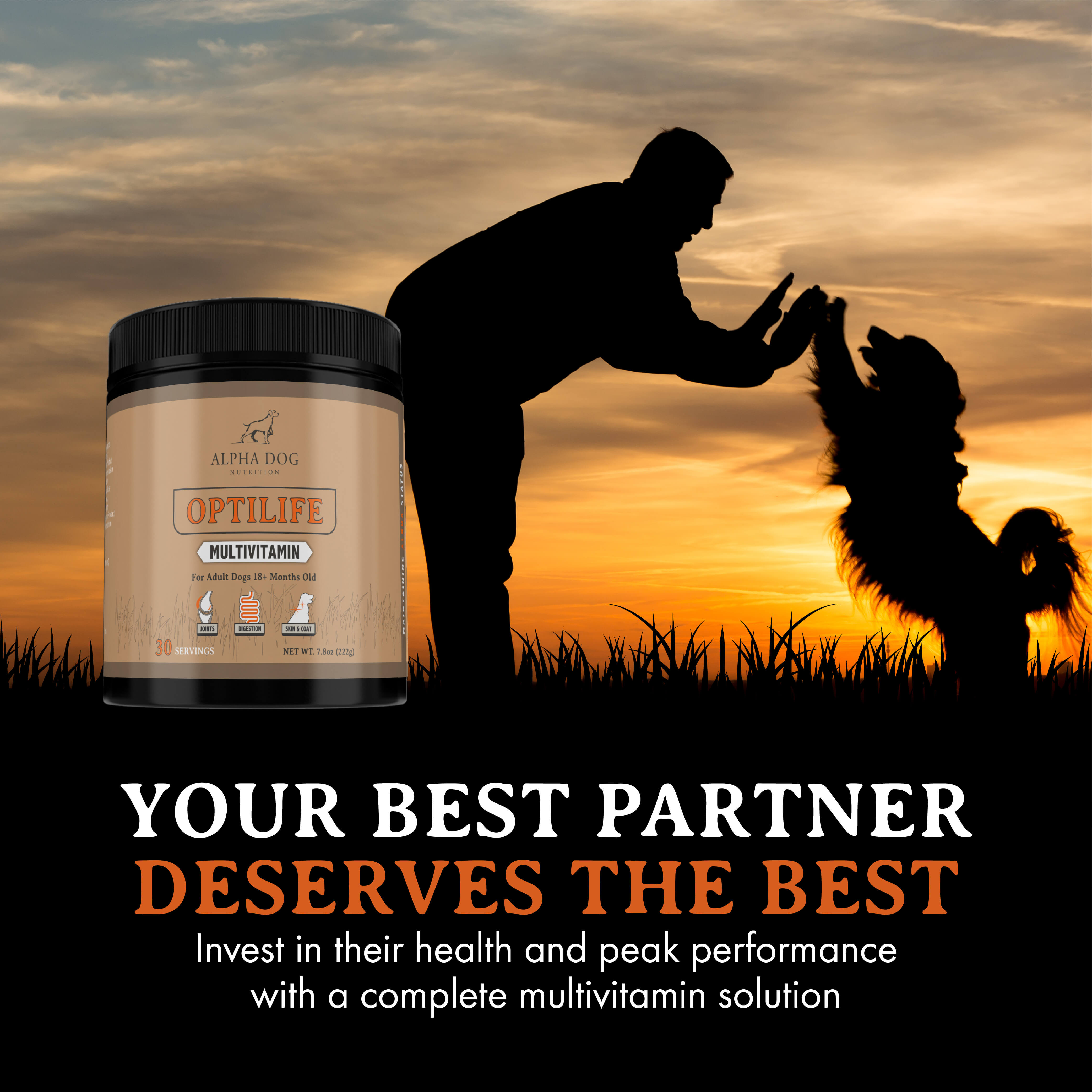 OptiLife Multivitamin for Adult Dogs - Bucket Sizes – Alpha Dog Nutrition