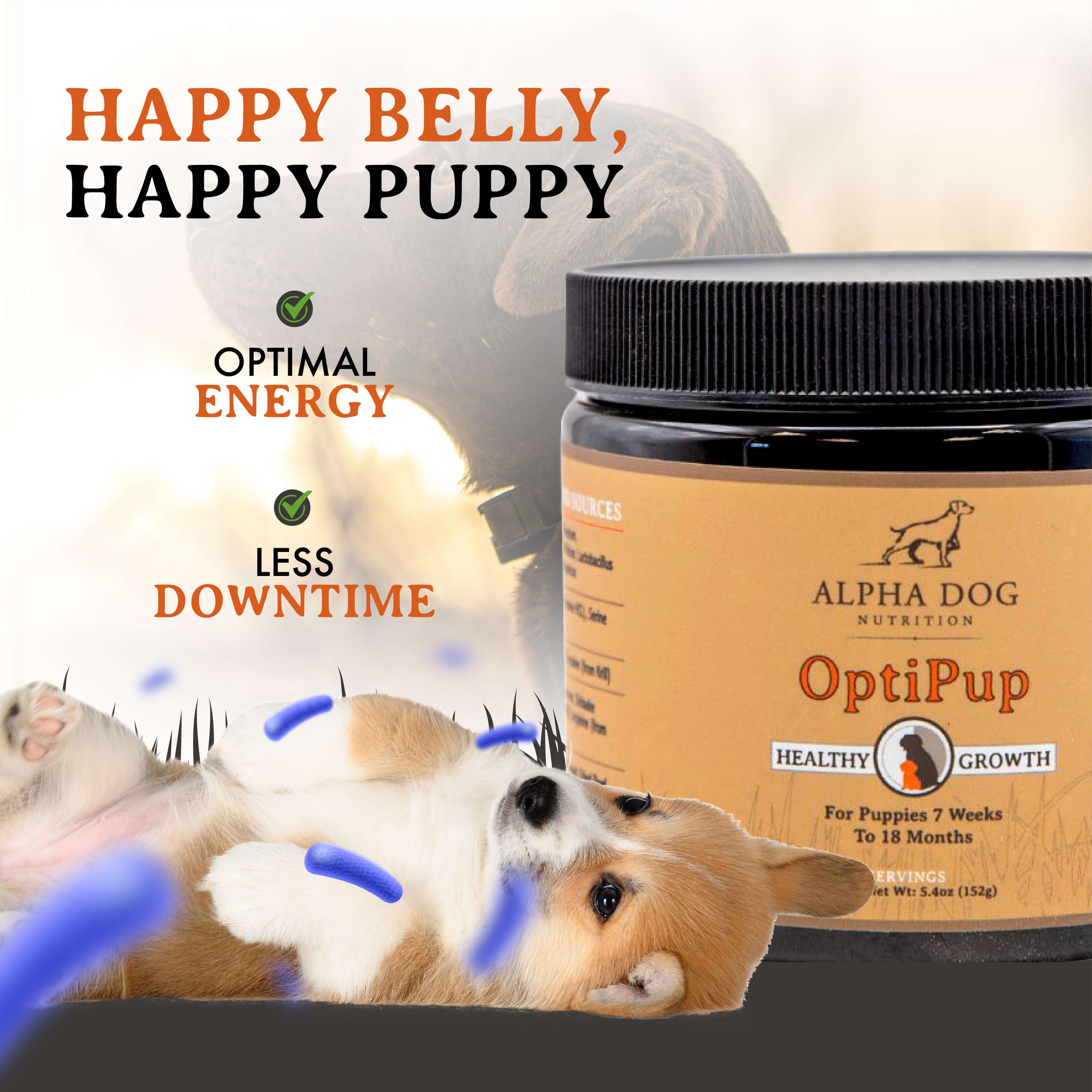 OptiPup Supplement for Puppies Alpha Dog Nutrition