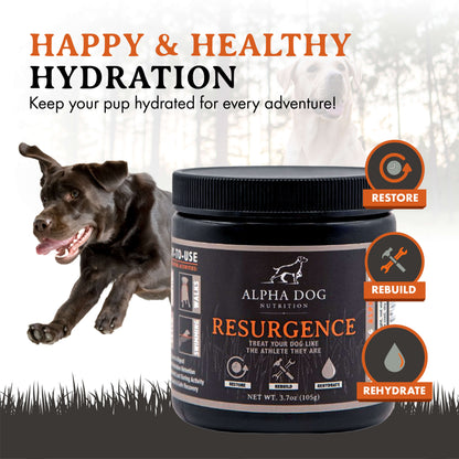 Resurgence Hydration & Recovery Supplement for Dogs