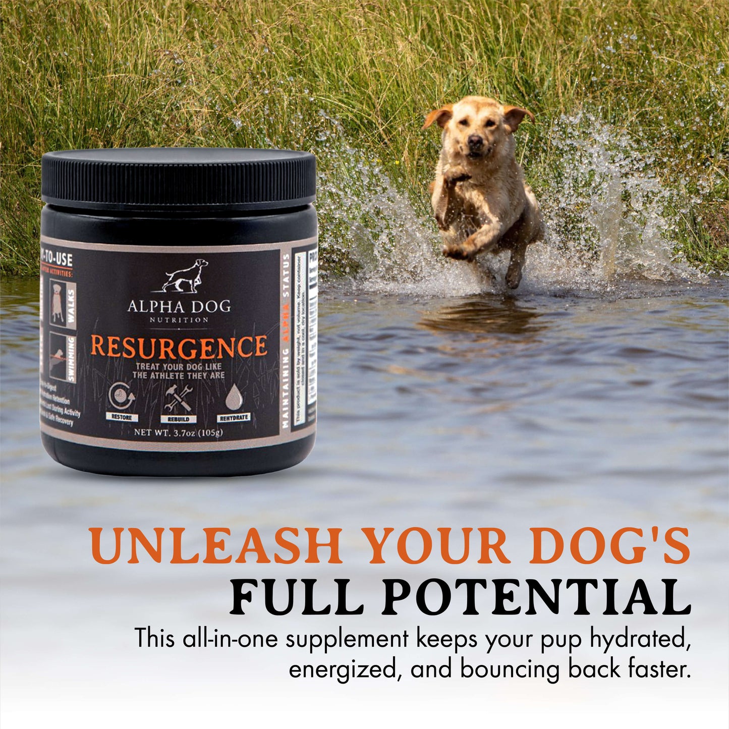 Resurgence Hydration & Recovery Supplement for Dogs