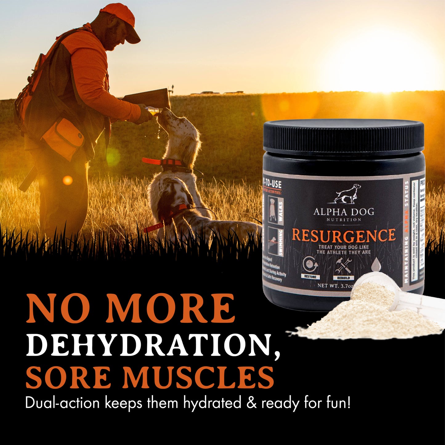 Resurgence Hydration & Recovery Supplement for Dogs