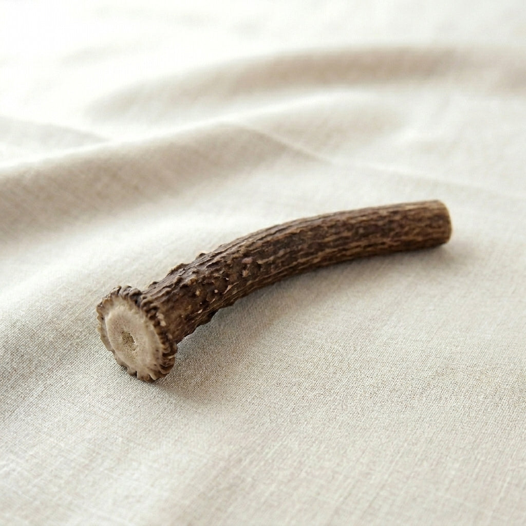 files/Antler_cross-section_showing_layers_202604300208.jpg