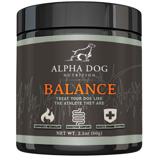 Hunting dog supplements best sale