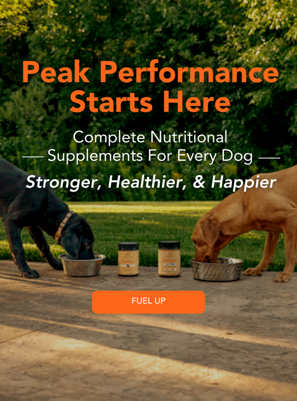 files/Copy_of_G-Tech_homepage_banner_11.png