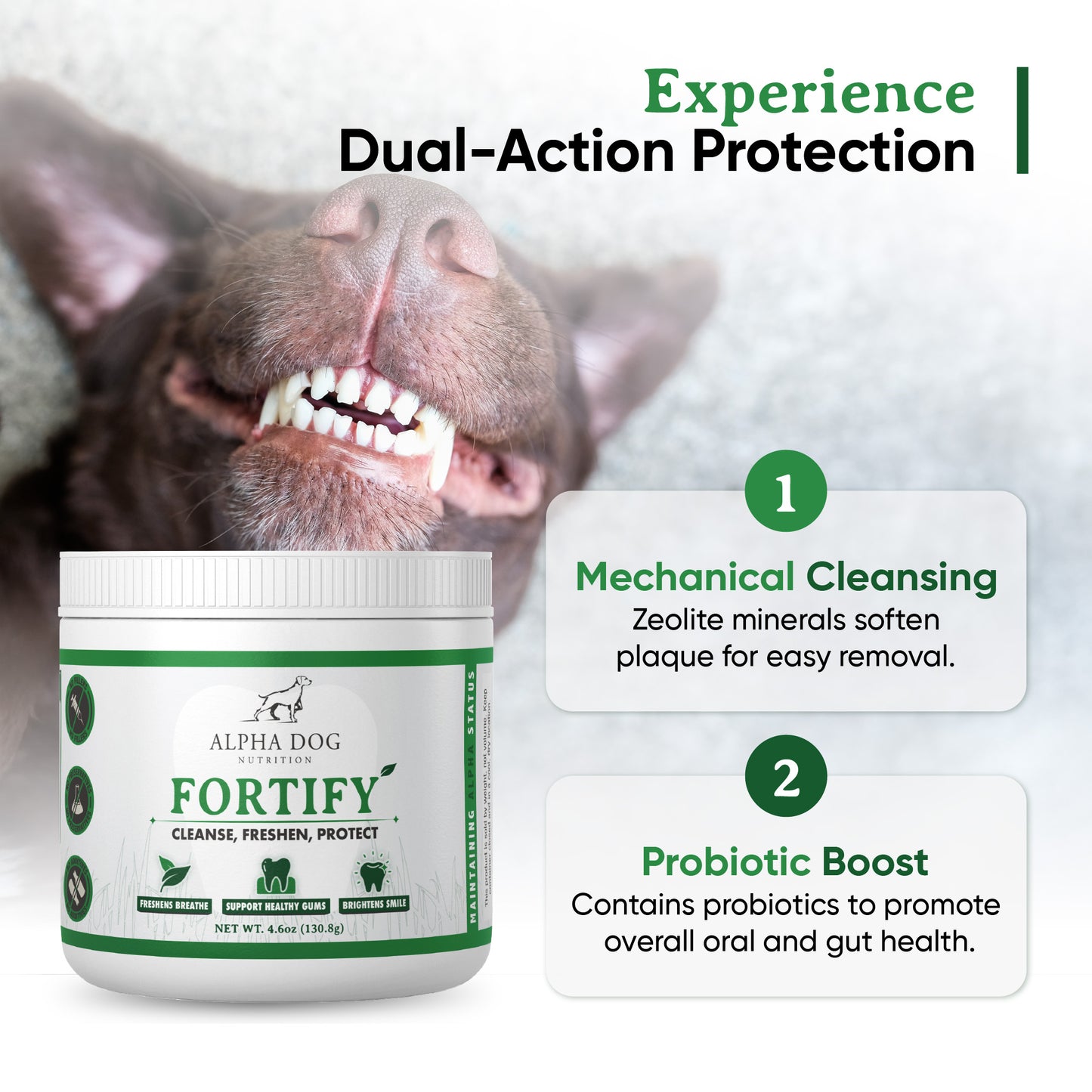 Fortify Dental Powder for Dogs