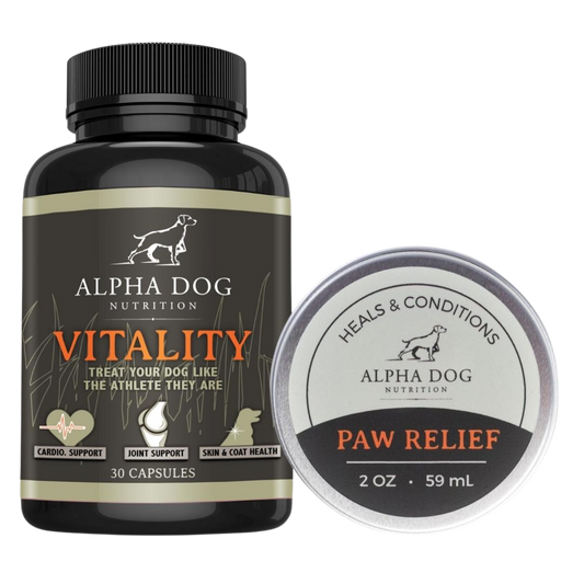 Dog supplements for dry itchy skin clearance
