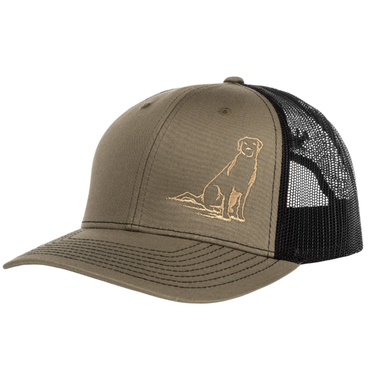 Lab Cap