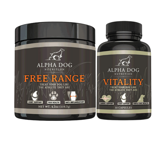 Supplements for Older Dogs Keep Them Healthy Active Alpha Dog Alpha Dog Nutrition