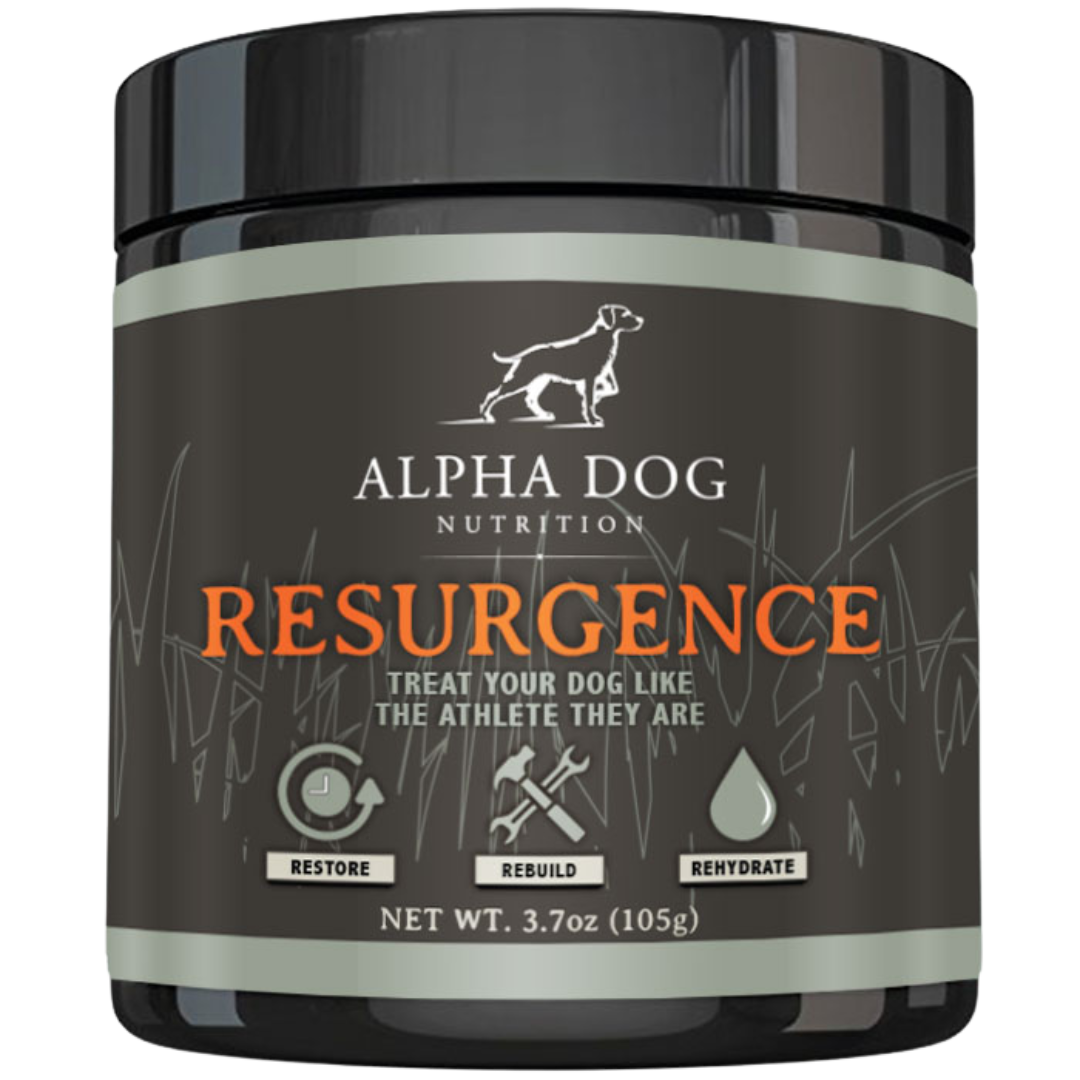 Resurgence Recovery Supplement - Kennel Club