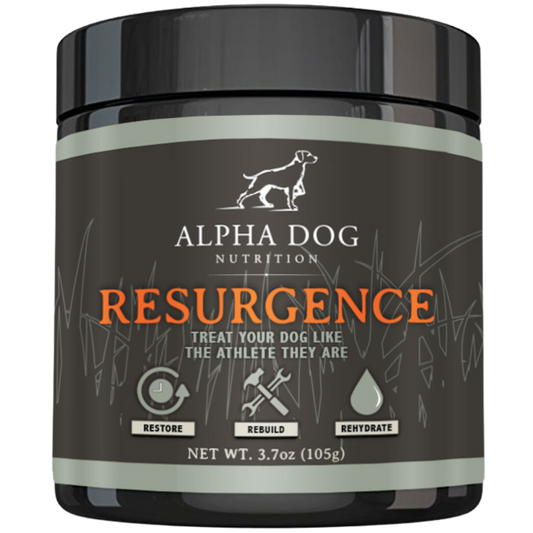 Resurgence Recovery Supplement - Kennel Club