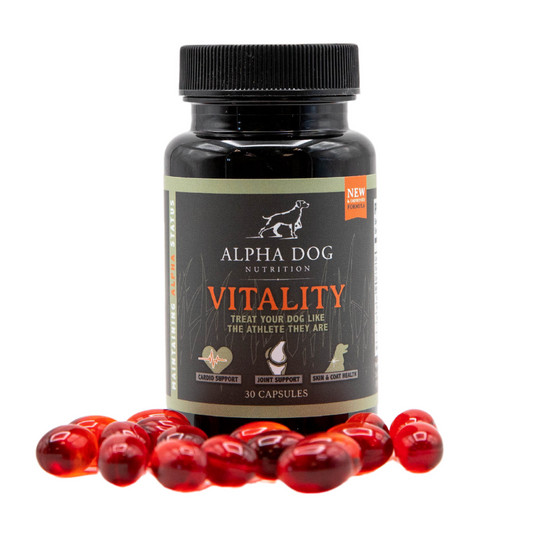 Dog vitamins for itchy skin online
