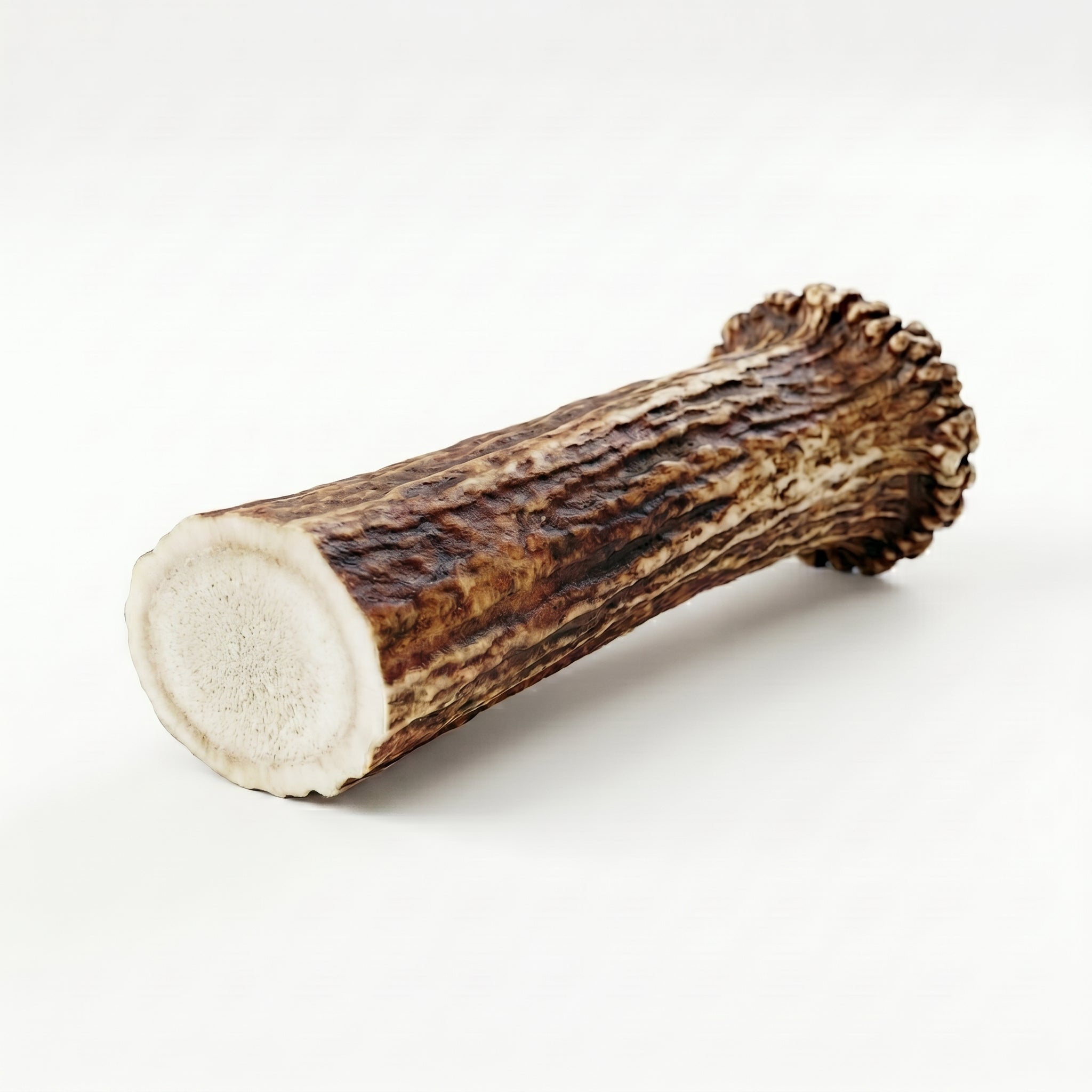 Elk Antler
