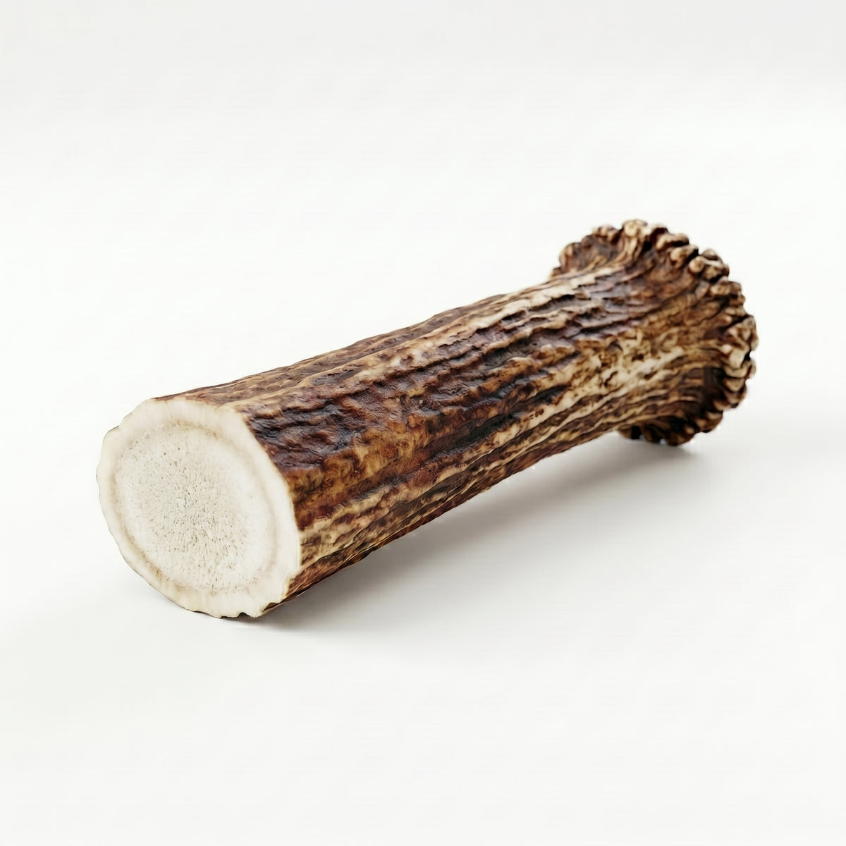 Elk Antler