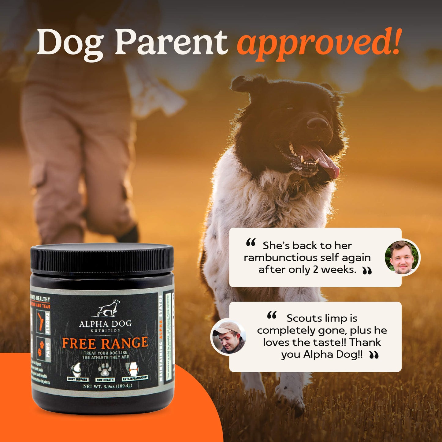 Free Range Joint Supplement For Dogs