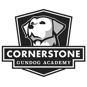 files/cornerstone.png