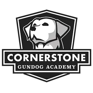 files/cornerstone.webp