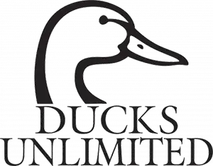 files/duck.webp