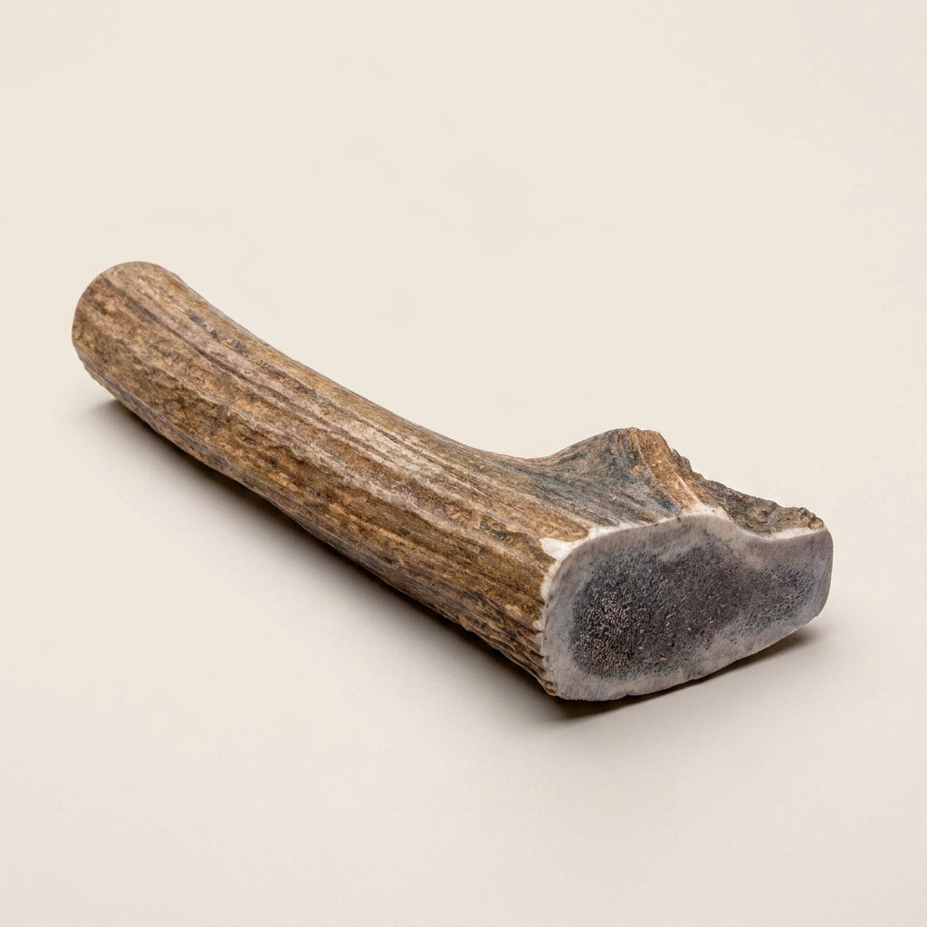 files/image.png_202604300147.jpg