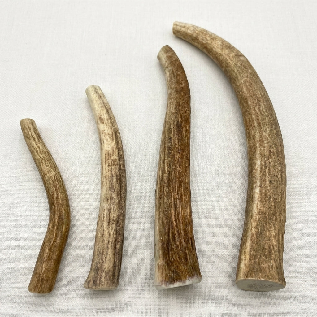 files/image.png_202604300156.jpg
