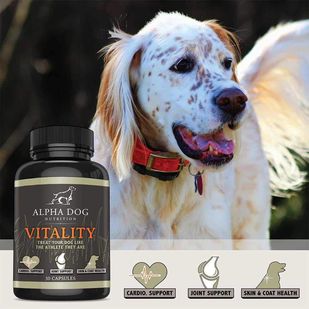 Vitality Omega 3 for Dogs