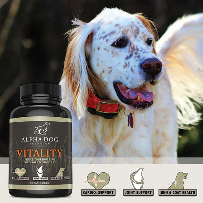 Vitality Omega 3 for Dogs