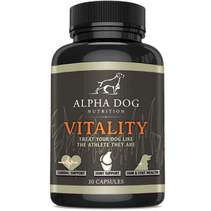Dog vitamins top for muscle growth