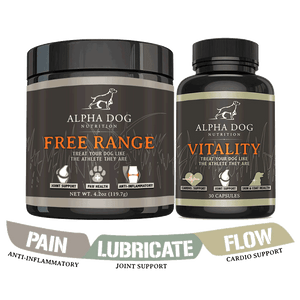 Supplements for top dog shedding
